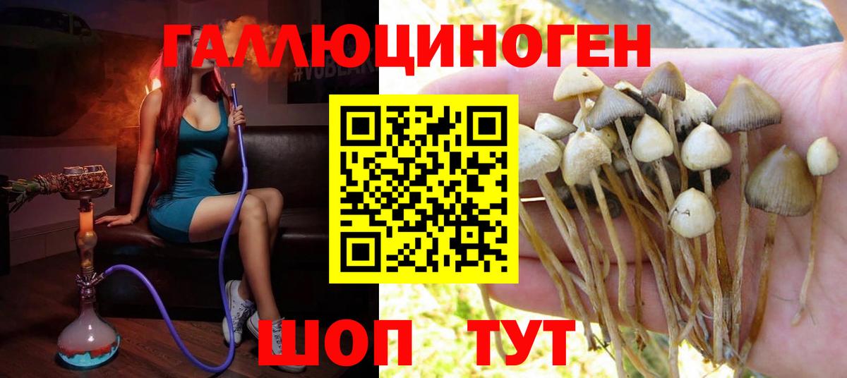 Героин Горно-Алтайск
